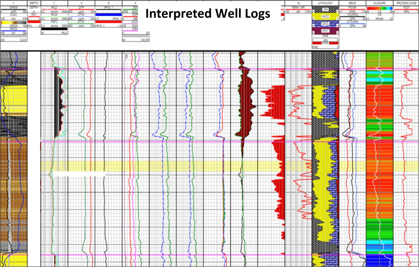 SSD case studies Well log